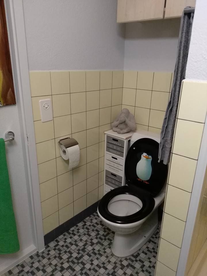 Gäste-WC mit gestrichener Wand